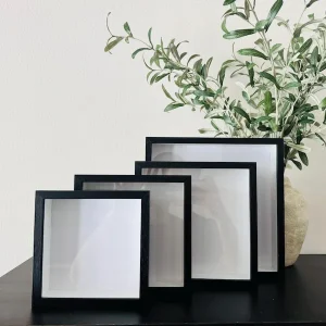 Glass Front Butterfly Display Frame | 1...
