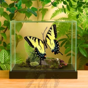 Handcrafted Eastern Tiger Swallowtail Butterfly Diorama - 6x8x6 Display